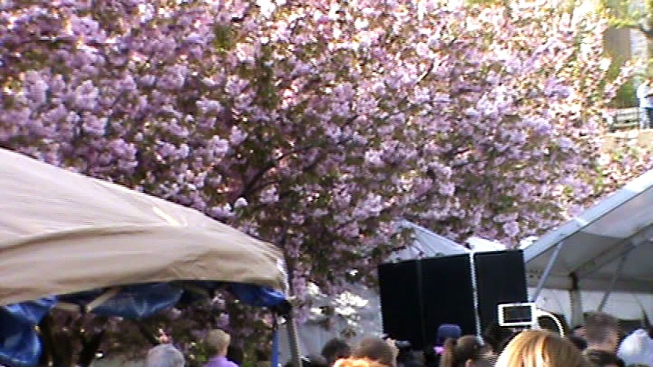 Sakura Matsuri NYC 04-30-2016: Yuzu's Dream: An Urban Folk Odyssey - Part 2