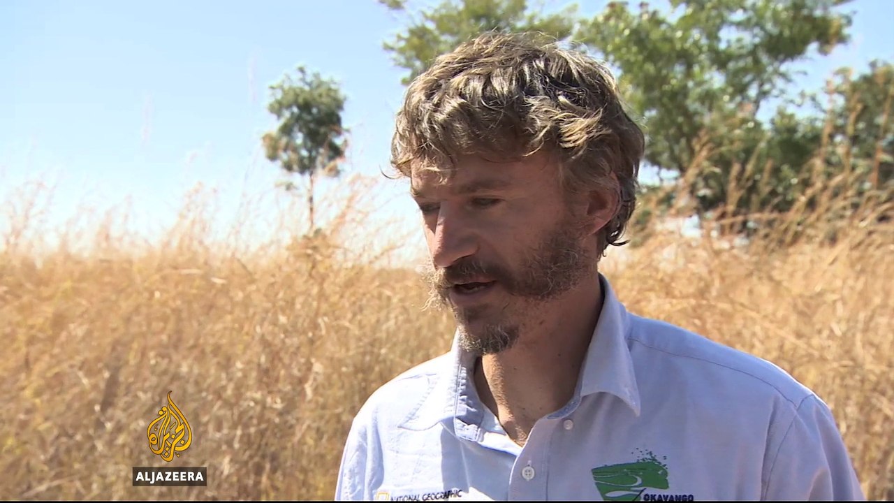 Angola works to end illegal wildlife trade