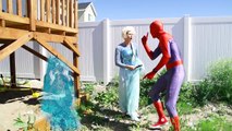 Spiderman & Frozen Elsa, Anna, Pink Spidergirl, Catwoman, Police Funny Superhero in real life