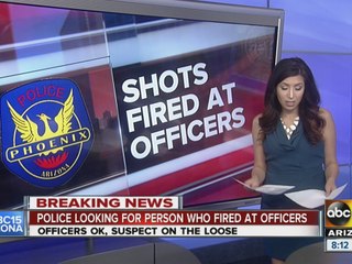 Police looking for person who fired at officers