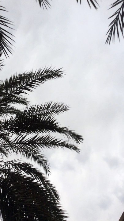 Sky cloudy