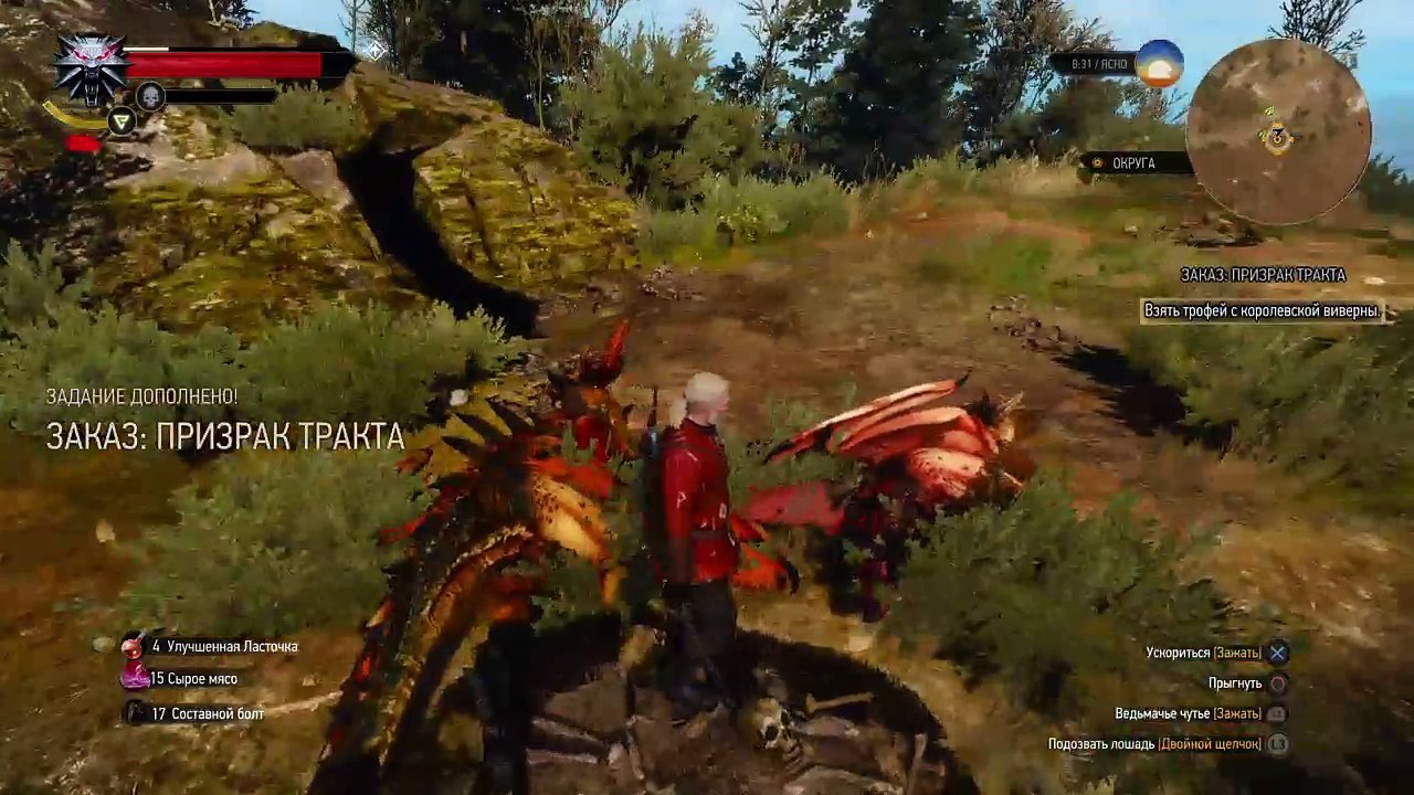 Witcher 3 (24)