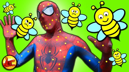 Spiderman vs BEES! w_ Joker and Hulk Bees - Spiderman in Real Life Superhero Movie - SHMIRL _) (1080p_50fps_H264-128kbit_AAC)