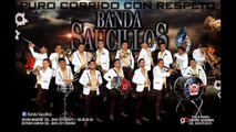 Banda Saucillos - El Legado (Corridos Nuevos 2016)Exclusivo Compa Luny