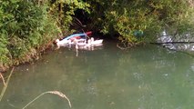 Ducklings in the pond