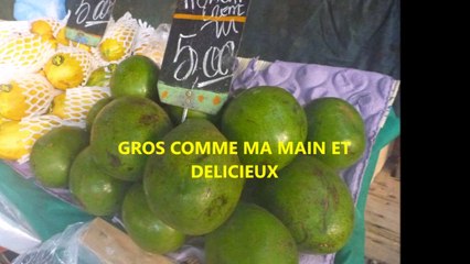 BRESIL RIO MARCHE D IPANEMA