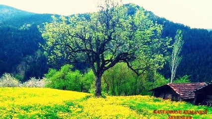 Köçek Sabri-Fırın Üstünde Kürek