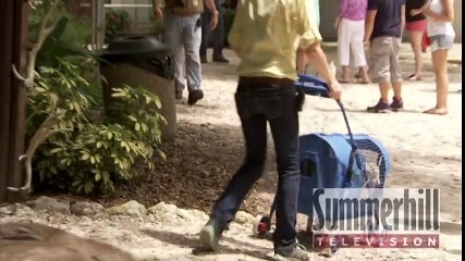 Cute Tiger & Puppy unlikely friends play together & Swim