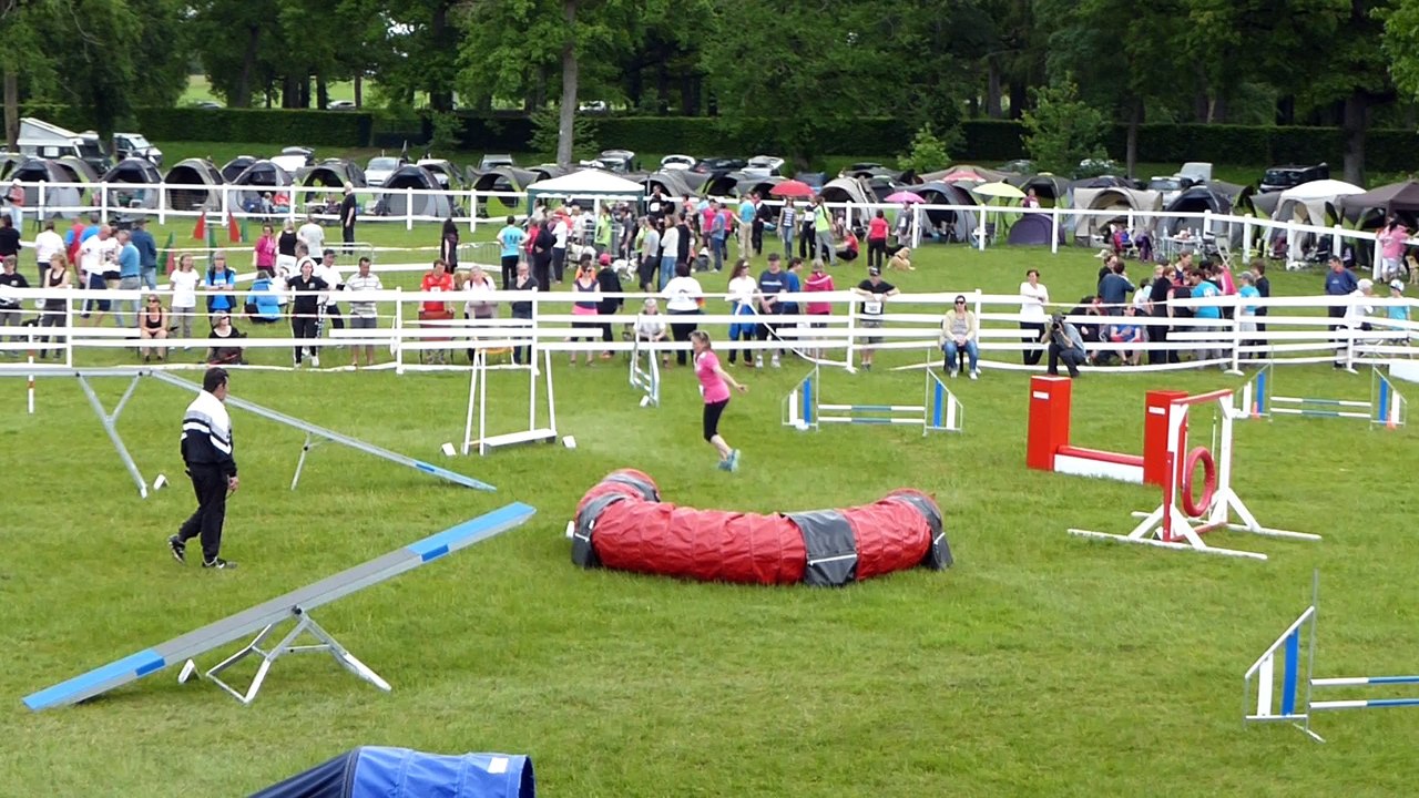 Trophée lion angers agility 1