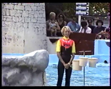 Spectacle otaries VHS-C051_005