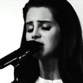 Ultraviolence ~ Lana Del Rey LIVE