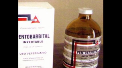 Nembutal Sodium Pentobarbital