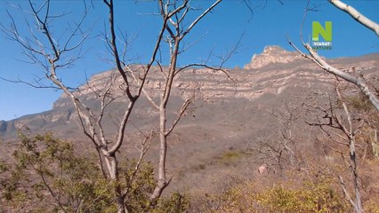 Животный инстинкт 3 сезон. 03. Перу: В поисках андского медведя (2015)