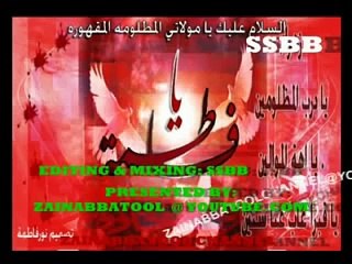 AKELI HAI ZEHRA (SA)