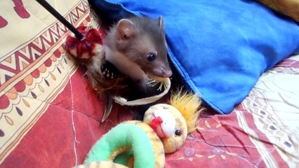 Khan-lé de Bordeaux ^^