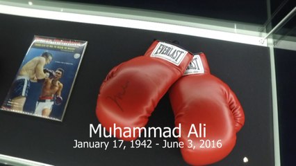Muhammad Ali, 'The Greatest of All Time' Remembered