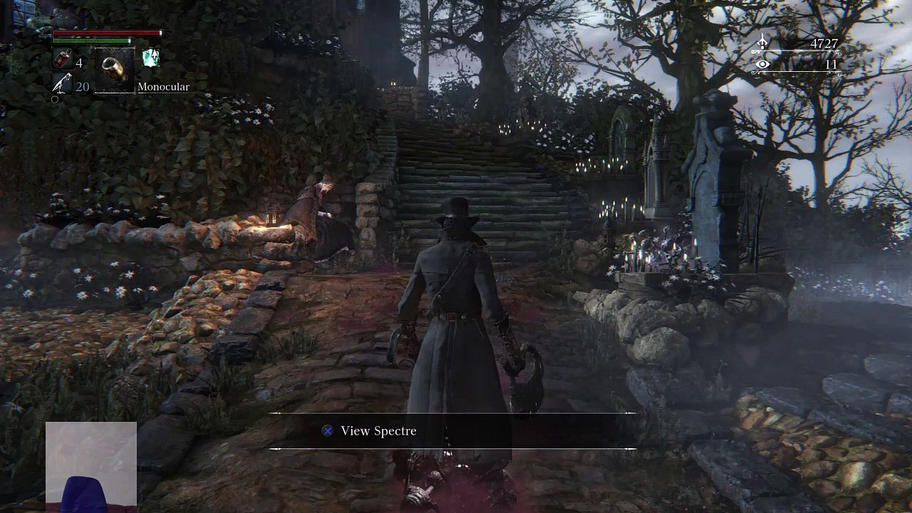 Blood Borne HD (7)