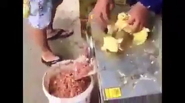 مارکیٹ سے تیار قیمہ لینے سے گریز کریں .ورنہ یہ ویڈیو دیکھے. اور آگے بھی شیر کریں