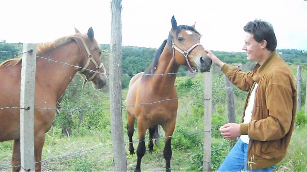 EGENIO " L'AMICO DEI CAVALLI "