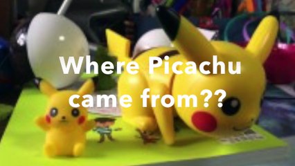 Unveiled! The Real Animal Inspiration Behind Pikachu 🐭