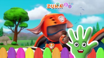 Baby Peppa Pig Fell and sick, in the same injecting Doctor Finger Family Nursery Rhymes By KidsF
