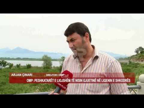 OMP: PESHKATARËT E LIGJSHËM TË NISIN GJUETINË NË LIQENIN E SHKODRËS