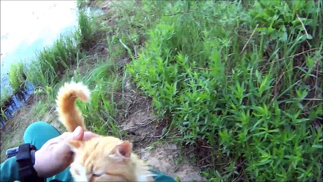 Рыбалка с котом.
