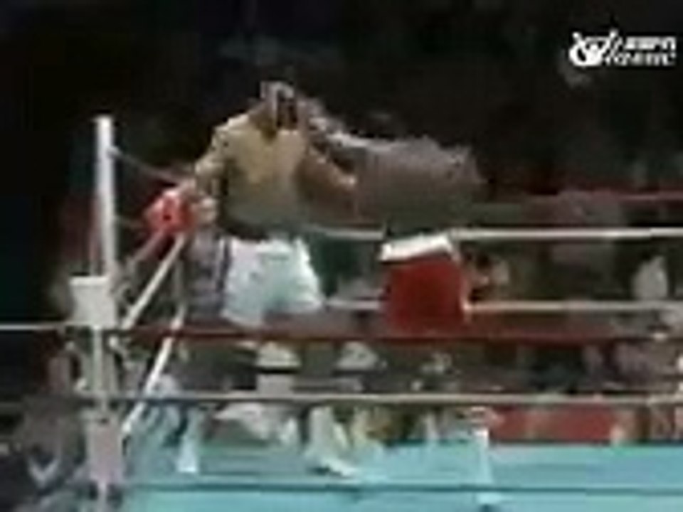 Muhammad Ali's Best