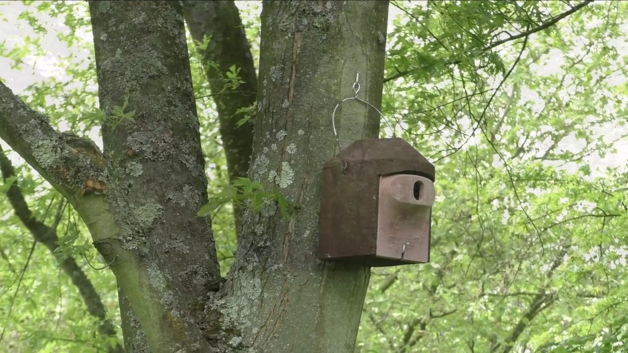 Un refuge pour les oiseaux