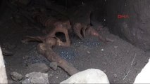 Bingöl'de Yol Çalışmalarında Eski Mezarlar Bulundu