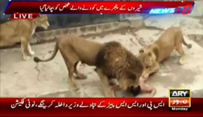 A guy jumped into lions cage for suicide - watch what happened next - Video Dailymotion