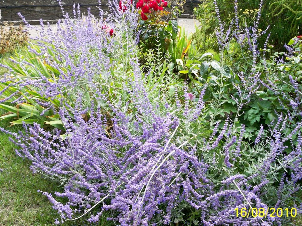 Le Mont St Michel de 2010 à 2014