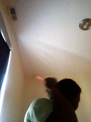 Brittany hair combed