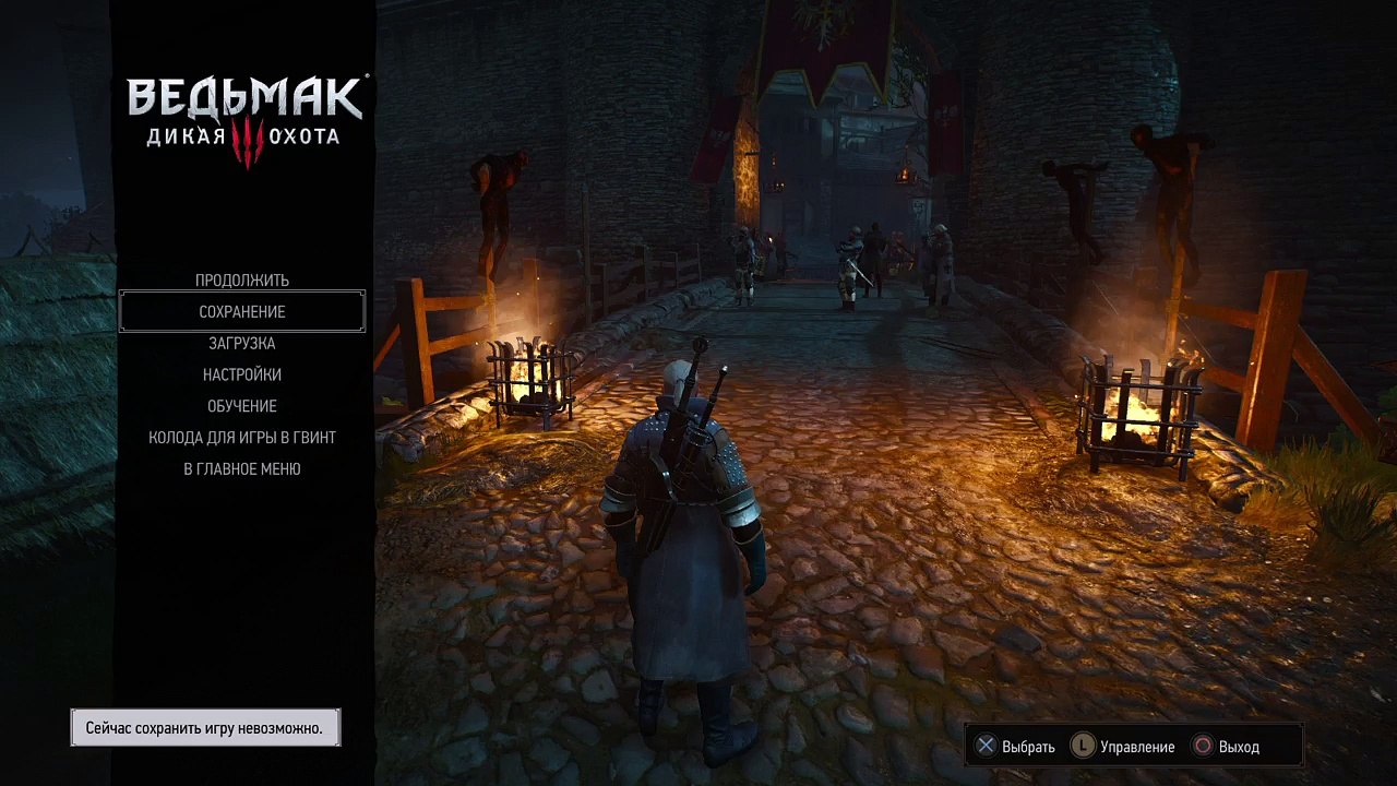 Witcher 3 (26)