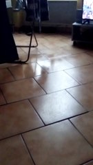 une époque formidable