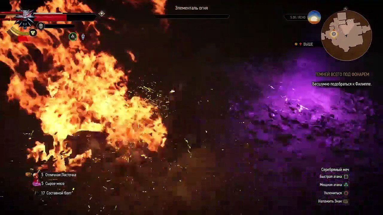 Witcher 3 (27)