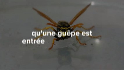 Il change seulement une ampoule puis découvre une chose tout droit sortie d'un film d'horreur !