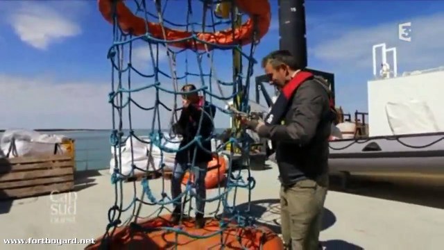 Fort Boyard dans Cap Sud Ouest - Spéciale Île d'Aix - France 3 Régions (5 juin 2016)