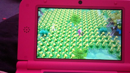 How to get into the pokemon village and how to get Mewtwo