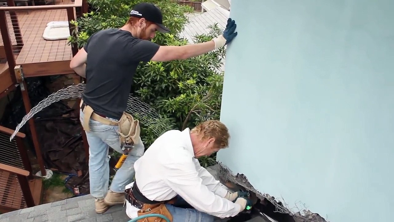 Roof to Wall Repairs%2C Introducing Magical Whiskers