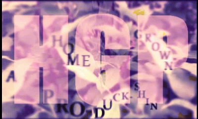 A Home Grown Pro-Duck-Shin