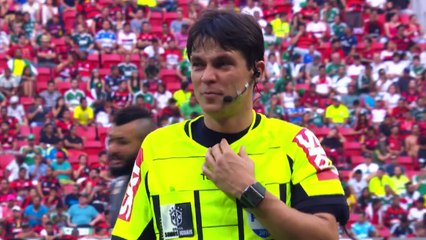 Até quando esse tipo de gente ( torcedor marginal ) vai continuar frequentando estádio, proporcionando cenas lamentáve
