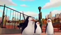 Pingwiny z Madagaskaru sezon 3 odc 24 Idealny Dzień PL CAŁY ODCINEK!