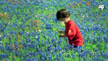 Allah'ın renk sanatı - giriş