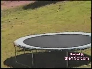 VideoClips-MiddleAgedWomenShouldStayAtHome