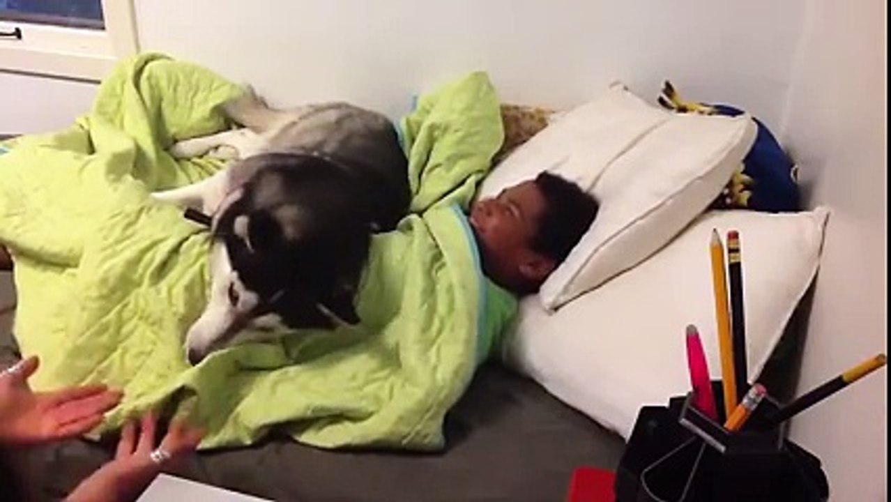 La technique ultime pour faire la grasse matinée... :)