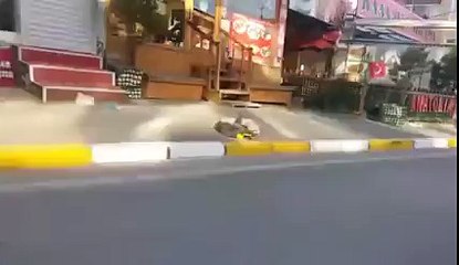 Tofaş Varex Egsoz - 61 AT 317