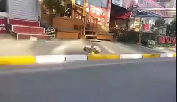 Tofaş Varex Egsoz - 61 AT 317