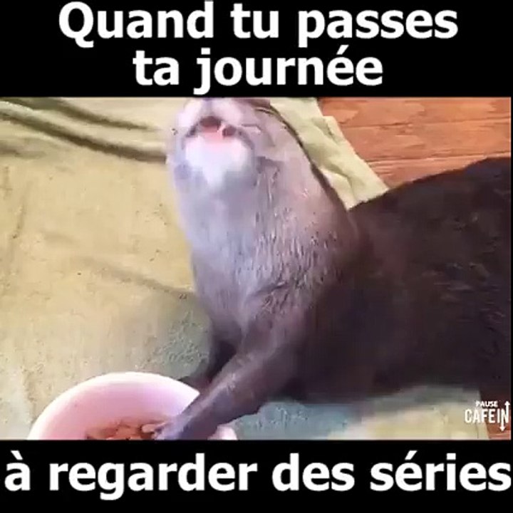 quand tu passes ta journée àbregarder des séries