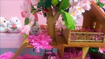 Hamsters Have Fun in Their Cute Tree-House